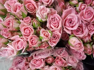 Bouquet 5 rosas