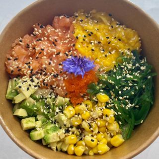 u95-Poke Bowl Salmão