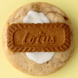 Bíscoff Lotus
