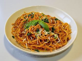 Bolognese