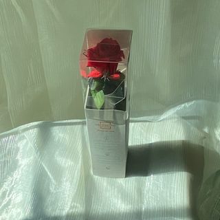 Rosa vermelha preservada