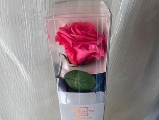 Rosa fuxia perservada