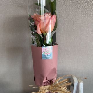 Ramo com 1 rosa cor de rosa