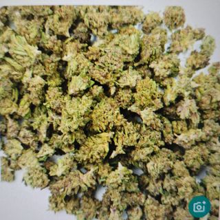TRIM HPC MENTAL CBD 10g