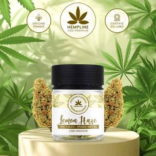 Flor CBD Lemon Haze 5gr. Hempline