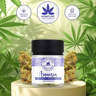 Flor CBD Amnésia 5gr. Hempline