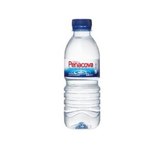 Água sem Gás 33cl