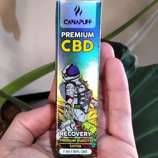 Recovery CBD 1ml vape