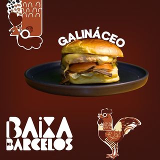 Galináceo