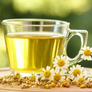Chá de Camomila 