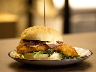 Hamburguer de Frango