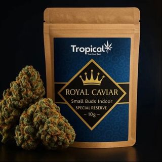 Royal Caviar CBD 10g