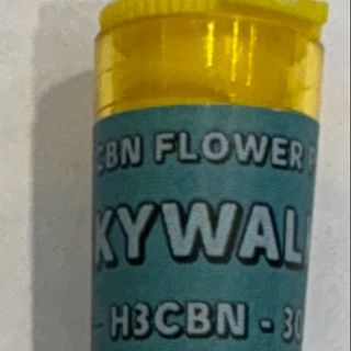 PRE-ROLL H3CBN SKYWALKER