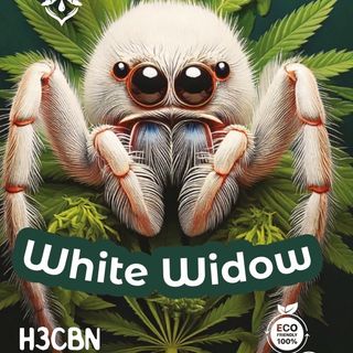 White Widow H3CBN 3g