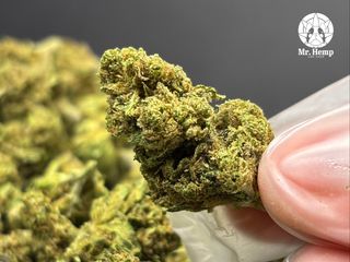 Canatonic Mini Buds CBD