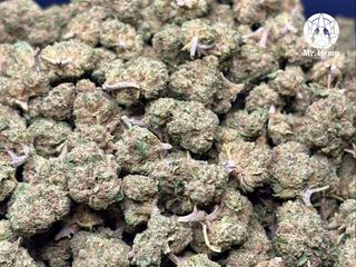 Milk Chocolat Mini Buds CBD