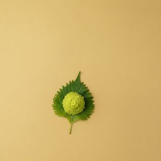 Pote de Wasabi