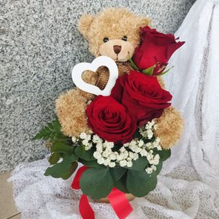 Urso querido