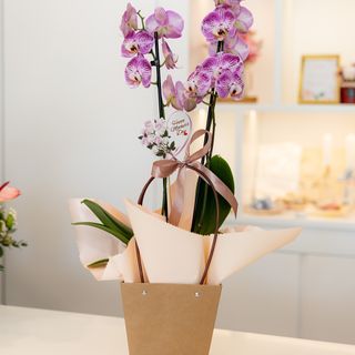 Cestinha com Orquidea