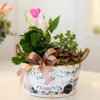 Composição de Plantas