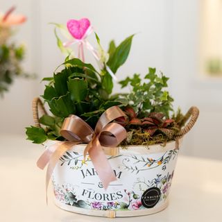 Composição de Plantas