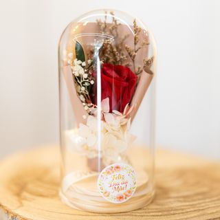 Cupula em Vidro com Flores Preservados (Tons Vermelhos)