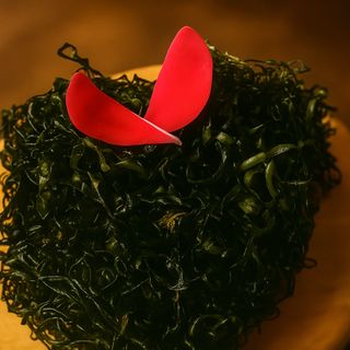 82. Couve Verde Frita