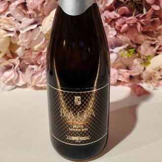 Baga bairrada bruto espumante