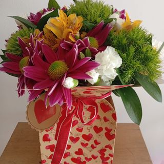 Bolsa D'agua Campestre