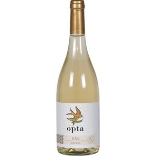 Opta Branco