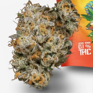 Sniker Doodle Flores THCV