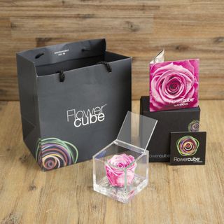 FlowerCube de Várias Cores e Tamanhos