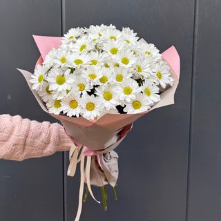 Buquê de Margaridas Brancas