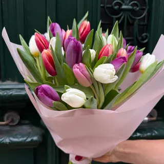 Tulips