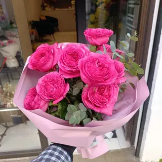 Rosas de jardim