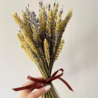 Lavanda do Campo mini