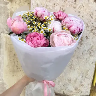 Peony Cloud