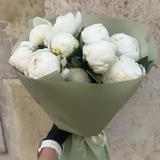 Peónias