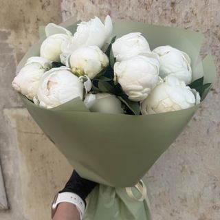 Pionias