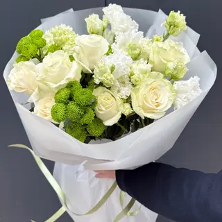White Harmony