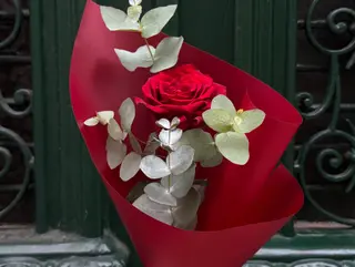 Rosa vermelha