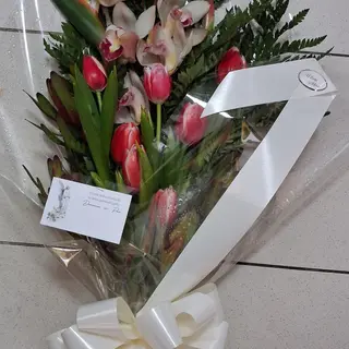 Palma  flores