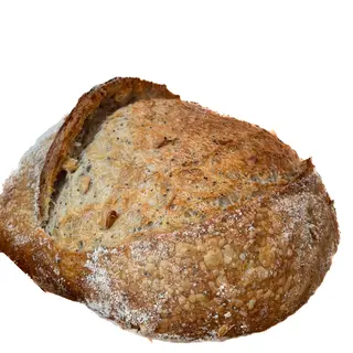 PAO Triticum Durum c\ sementes