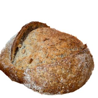 PAO Triticum Durum c\ sementes