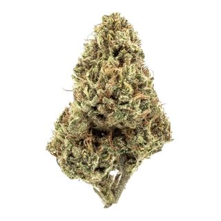Stickky Queen Express H3CBN 30%
