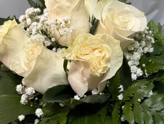 Rosas brancas