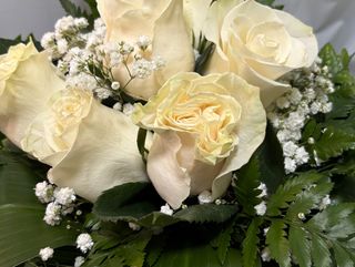 Rosas brancas