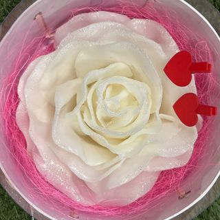 Rosa branca gigante