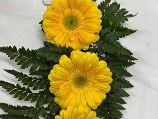 3 gerberas