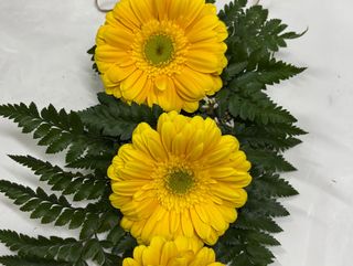 3 gerberas